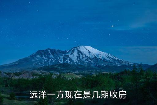 遠洋一方現在是幾期收房