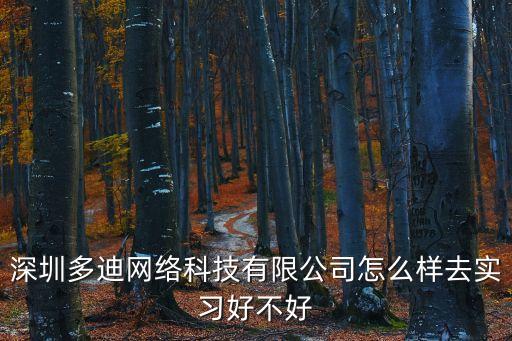 深圳多迪網絡科技有限公司怎么樣去實習好不好