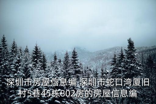深圳蛇口灣廈村小區(qū)服務(wù)中心，深圳市房屋信息編 深圳市蛇口灣廈舊村5巷45棟802房的房屋信息編