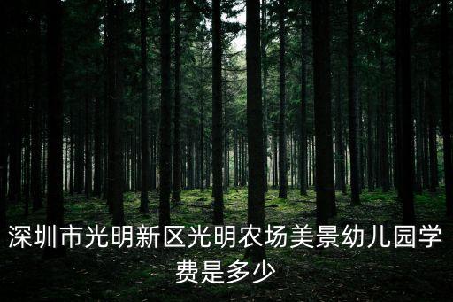 2020年深圳光明區(qū)幼兒園招生，深圳光明新區(qū)