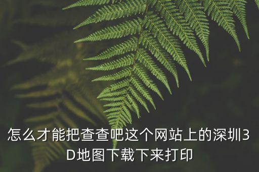 怎么才能把查查吧這個(gè)網(wǎng)站上的深圳3D地圖下載下來打印