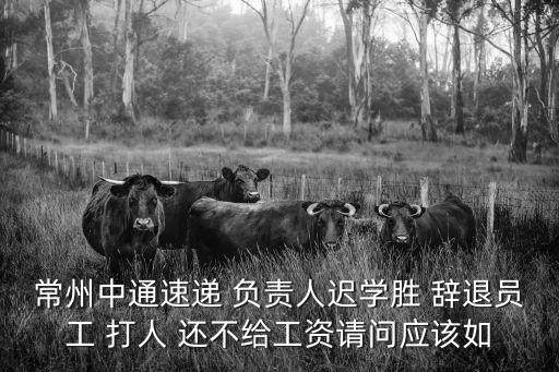 常州中通速遞 負責人遲學勝 辭退員工 打人 還不給工資請問應該如
