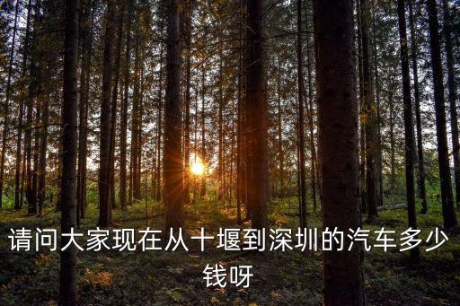十堰到深圳汽車價格表，請問有十堰到深圳的汽車票嗎多少錢在十堰哪個站坐車呢