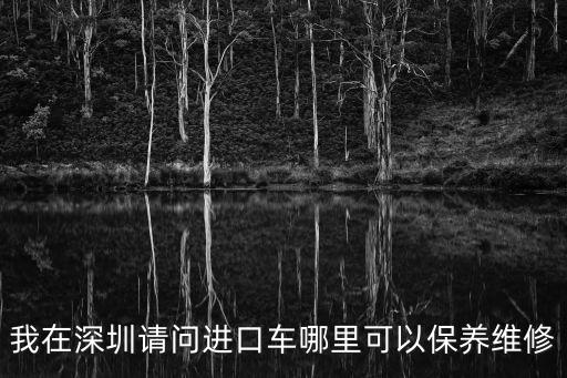 深圳ds保養在哪里，請問下深圳做汽車保養去哪里要好些