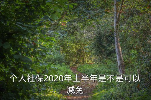 個人社保2020年上半年是不是可以減免