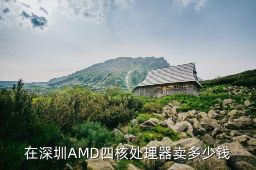 在深圳AMD四核處理器賣多少錢