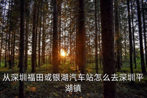 深圳福田去平湖坐地鐵怎么走，福永 到平湖的地鐵怎么走