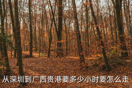 從深圳到廣西貴港要多少小時要怎么走