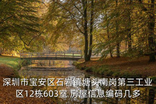 深圳市寶安區石巖鎮塘頭南崗第三工業區12棟603室 房屋信息編碼幾多