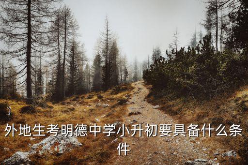 2020年深圳明德學校招生要求，明德學校如果想考進去的話他的標準是多少