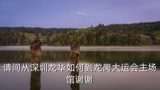 請(qǐng)問從深圳龍華如何到龍崗大運(yùn)會(huì)主場(chǎng)館謝謝