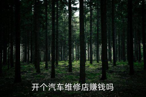 開個汽車維修店賺錢嗎