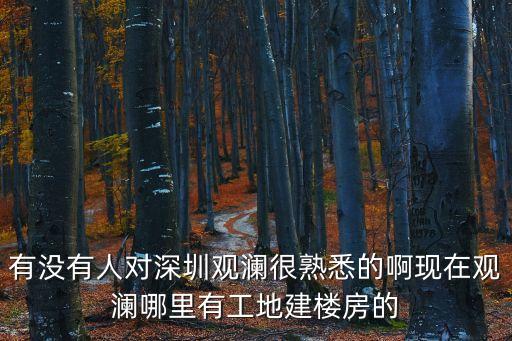 有沒有人對深圳觀瀾很熟悉的啊現在觀瀾哪里有工地建樓房的