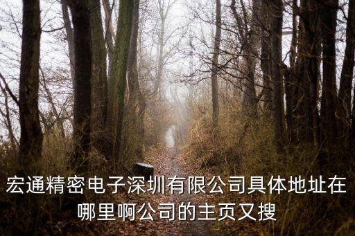 宏通精密電子深圳有限公司具體地址在哪里啊公司的主頁又搜