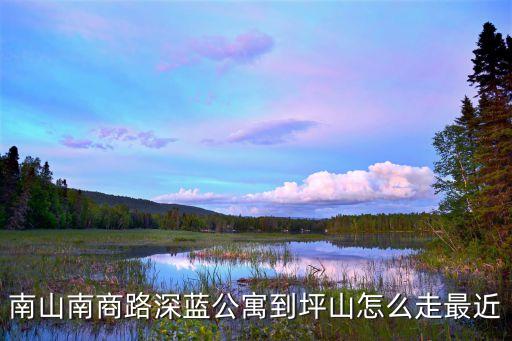 深圳市南山區和坪山區有多遠，深圳坪山新區到南山區有多少公里
