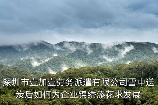 深圳市壹加壹勞務派遣有限公司雪中送炭后如何為企業錦繡添花求發展