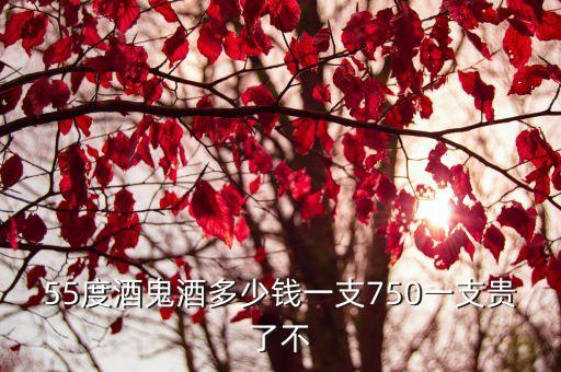55度酒鬼酒多少錢一支750一支貴了不