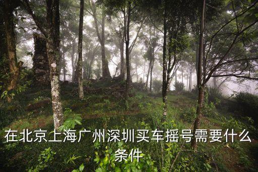 深圳汽車(chē)搖號(hào)的政策，在北京上海廣州深圳買(mǎi)車(chē)搖號(hào)需要什么條件