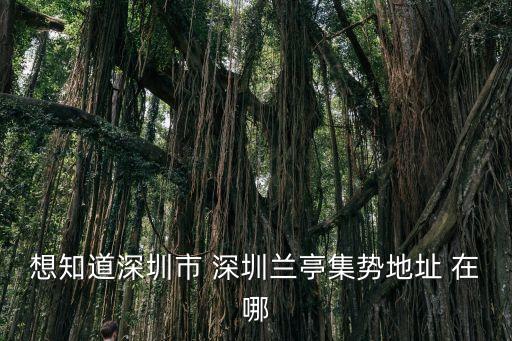想知道深圳市 深圳蘭亭集勢地址 在哪
