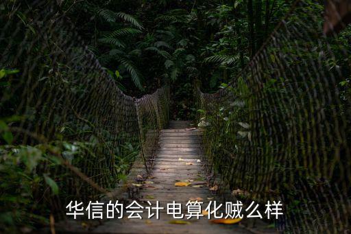 華信的會計電算化賊么樣