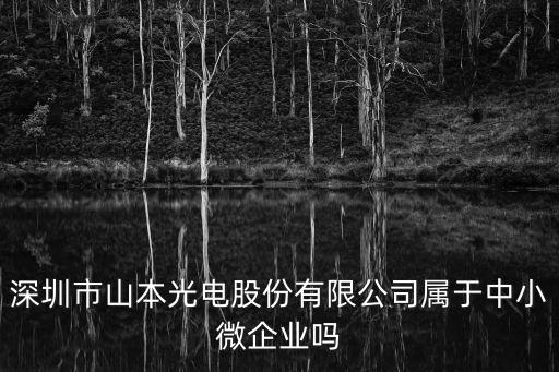 深圳市山本光電股份有限公司屬于中小微企業嗎