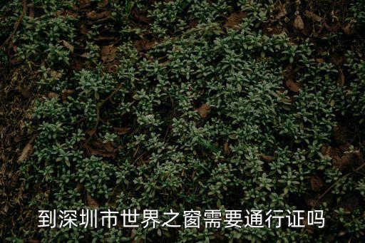 到深圳市世界之窗需要通行證嗎