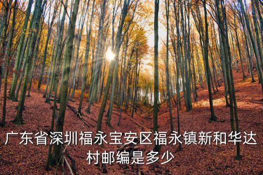廣東省深圳福永寶安區(qū)福永鎮(zhèn)新和華達(dá)村郵編是多少