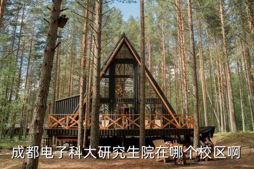 成都電子科技大學(xué) 深圳研究生院，成都電子科大研究生院在哪個校區(qū)啊