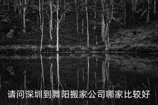 深圳新鵬物流有限公司簡介，深圳ups快遞簡介