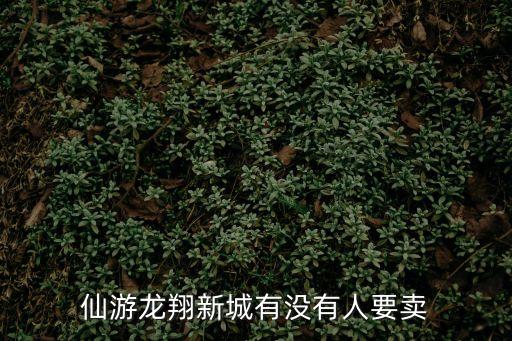 仙游龍翔新城有沒有人要賣