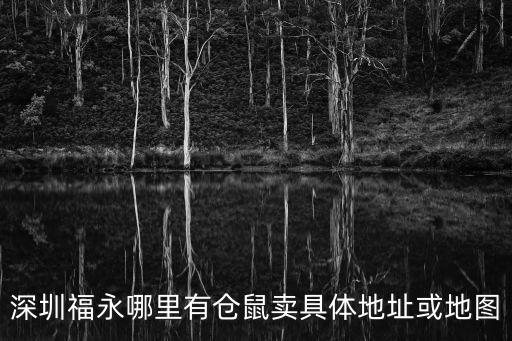 深圳福永哪里有倉鼠賣具體地址或地圖