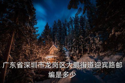 廣東省深圳市龍崗區大鵬街道迎賓路郵編是多少