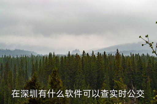 公交到站查詢app深圳，查深圳公交車用什么軟件