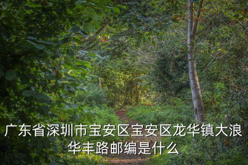 廣東省深圳市寶安區寶安區龍華鎮大浪華豐路郵編是什么