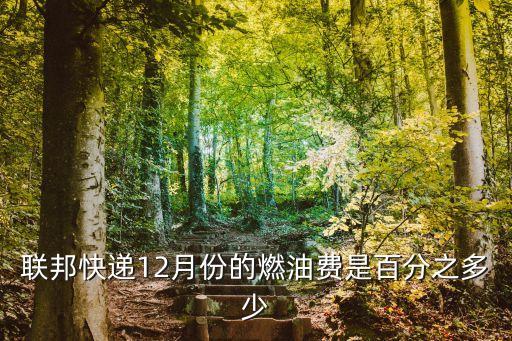 深圳羅湖fedex燃油附加費，聯邦快遞12月份的燃油費是百分之多少