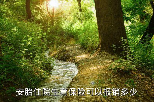 安胎住院生育保險可以報銷多少