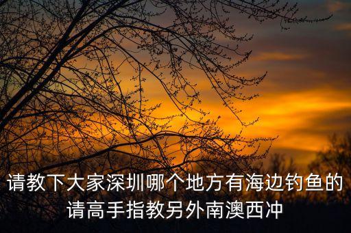 深圳南澳海灘釣點(diǎn)，深圳南澳哪里可以釣魚呢要求公車能到的