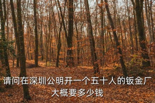深圳鈑金件加工價(jià)格，請(qǐng)問(wèn)在深圳公明開一個(gè)五十人的鈑金廠大概要多少錢