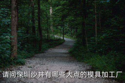 請問深圳沙井有哪些大點的模具加工廠