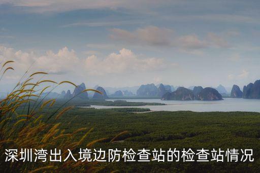 深圳灣出入境邊防檢查站的檢查站情況
