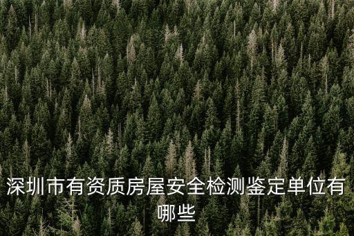 深圳市有資質(zhì)房屋安全檢測(cè)鑒定單位有哪些
