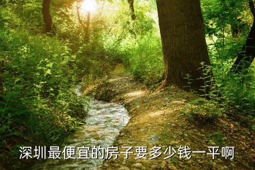 深圳最便宜的房子要多少錢一平啊