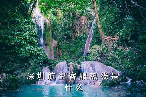 深 圳 航 空 客 服 熱 線 是 什 么