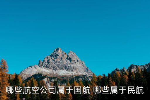 哪些航空公司屬于國航 哪些屬于民航