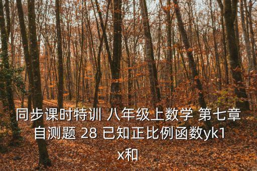 同步課時(shí)特訓(xùn) 八年級(jí)上數(shù)學(xué) 第七章自測題 28 已知正比例函數(shù)yk1x和