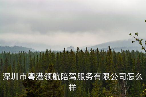 深圳市粵港領航陪駕服務有限公司怎么樣