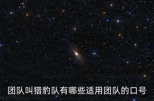 獵豹隊深圳隊，大家看過浙江臺的那個麥霸欄目我想問下有多少人喜歡深圳隊的那個