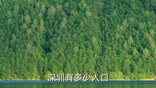 深圳有多少人口