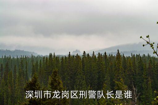 深圳市張東輝，深圳市寶安區(qū)25區(qū)裕安二路華豐商務(wù)大廈B座有叫 深圳市長田環(huán)保有