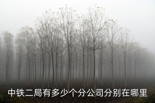 中鐵二局有多少個分公司分別在哪里